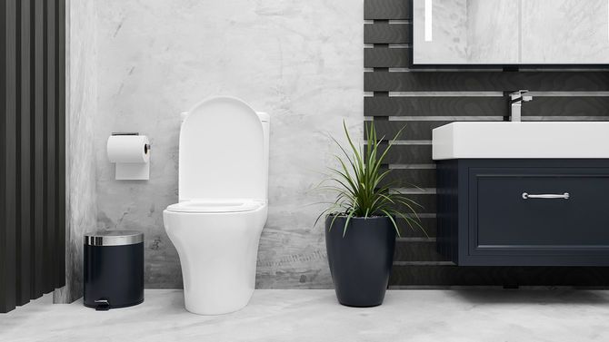 トイレットボウル、セラミック洗面器