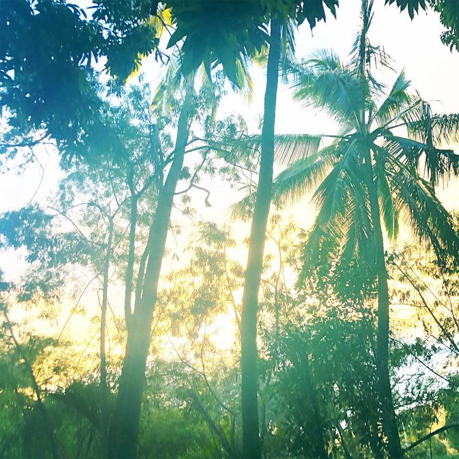 山崎さんの住まいから見える風景