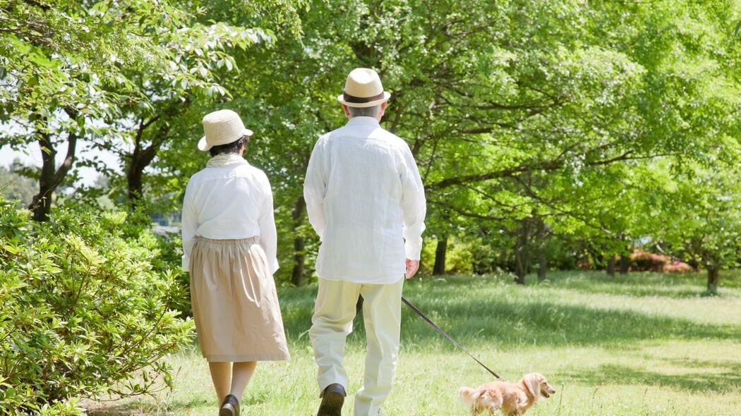 定年後の家族との向き合い方がわからない…そう悩む人に佐藤優が｢鬼滅の刃が参考になる｣と話すワケ 必要なのは｢支え合い｣と｢ほどよい距離｣