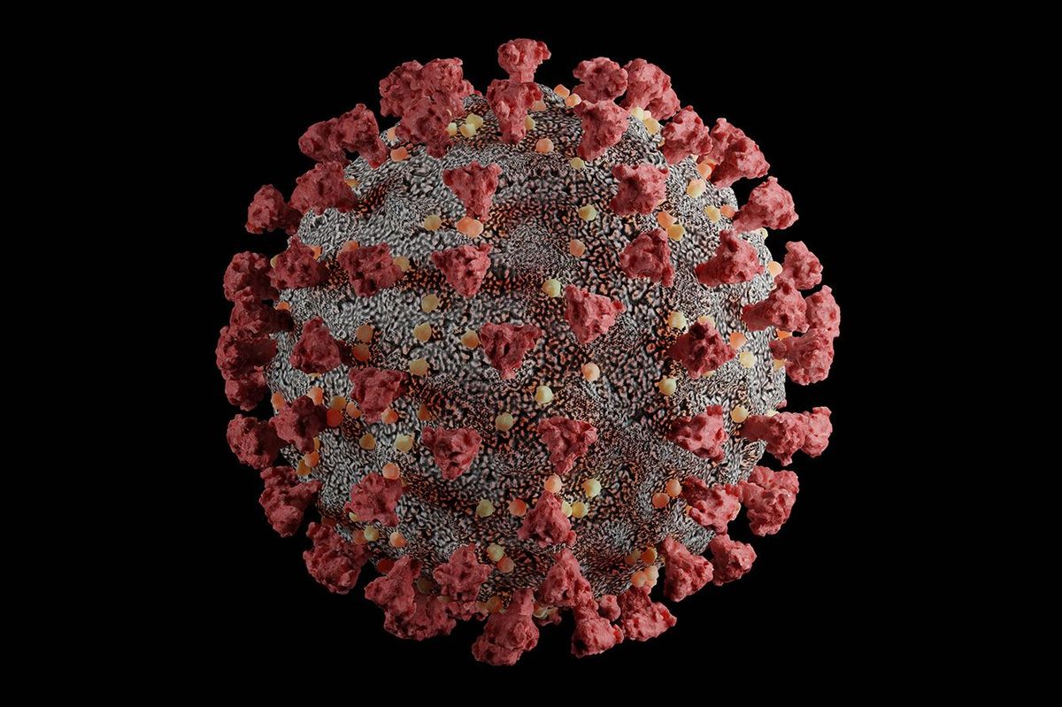 新型コロナウイルスの3Dイメージ