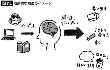 これが科学的根拠に基づく｢最高の勉強法｣である…｢白紙を前にして繰り返し思い出す｣が究極といえる理由 大切なのは､自分の脳を常に試すこと  (2ページ目) | PRESIDENT Online（プレジデントオンライン）