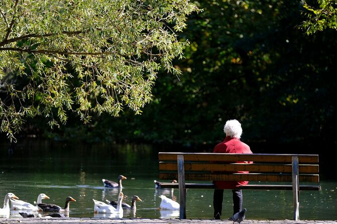 公園のベンチに座る年配の女性