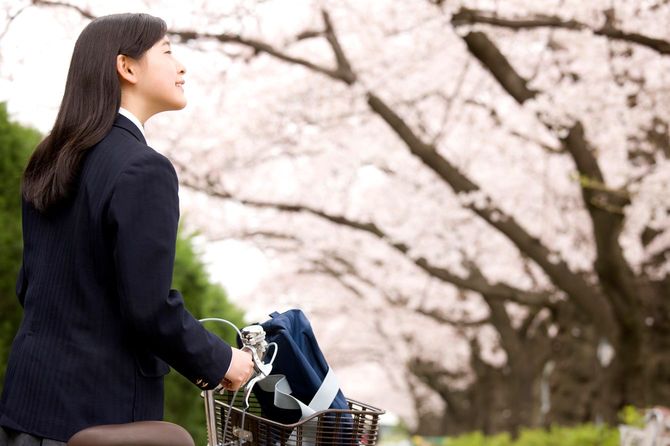 通学路の桜並木を眺める女子中学生