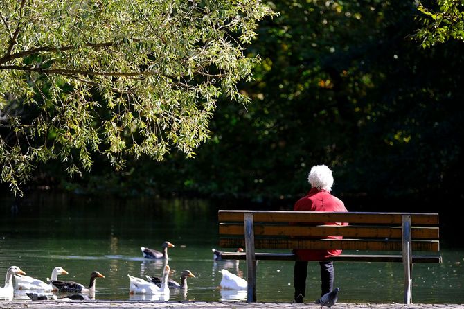 公園のベンチに座る年配の女性