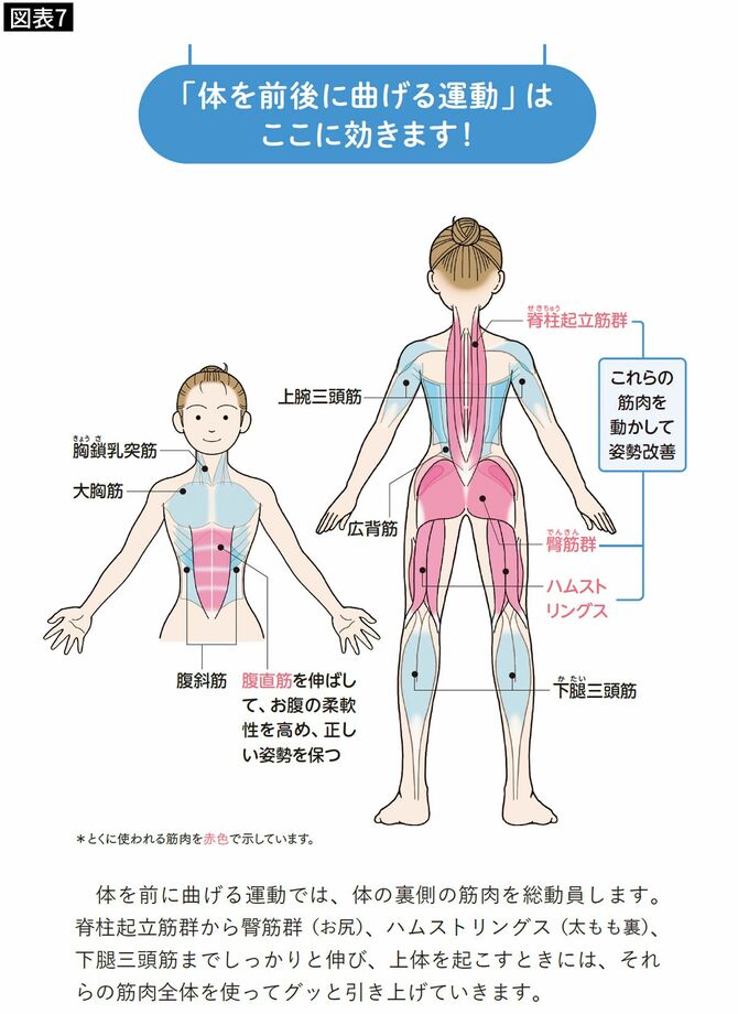 【図表7】体幹や下半身全体の筋肉を鍛えることができるため、姿勢改善の効果が期待できる