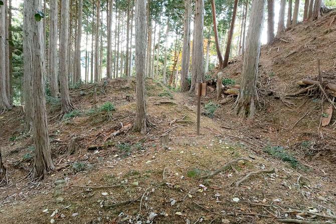 右上が城内側。左手の城外側に向けて竪堀が連続して落ちている