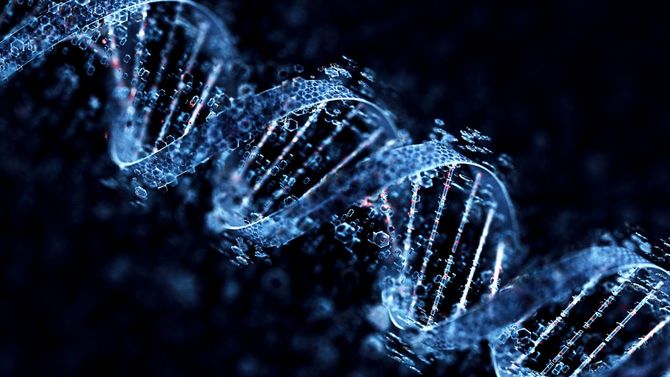 デオキシリボ核酸