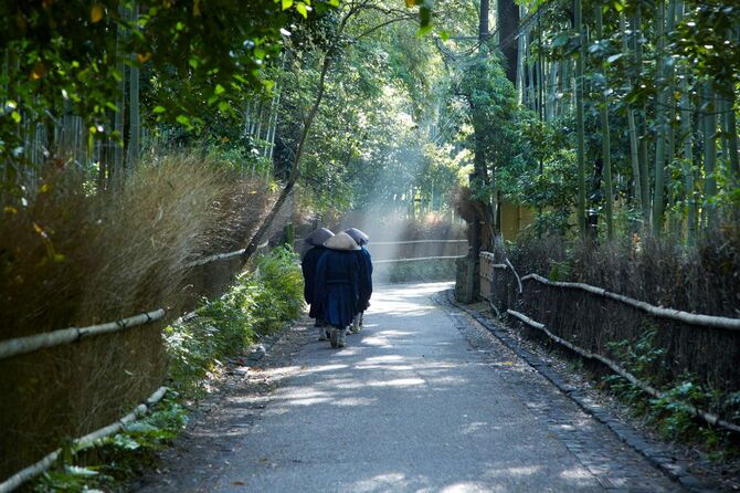 京都の竹林の道を歩く僧侶