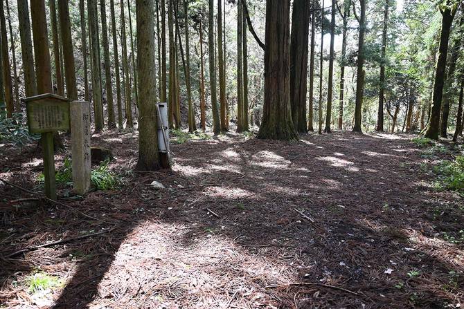 市が暮らしていたかもしれない「御屋敷」。