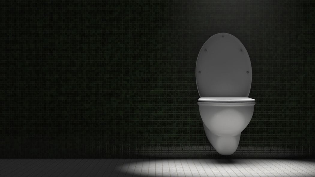 50年間｢豚｣扱いされ…兄･父とずっと険悪な50代女性が79歳認知症母の夜中トイレ介助で迎えた心身の限界