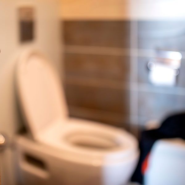 なぜ うんち は臭いのか その意味は においのないうんち はありえない に詰まっている ヒトの体にいる 1000兆個の腸内細菌 の知られざる働き President Online プレジデントオンライン