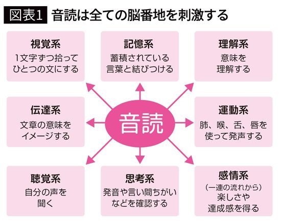 【図表1】音読は全ての脳番地を刺激する