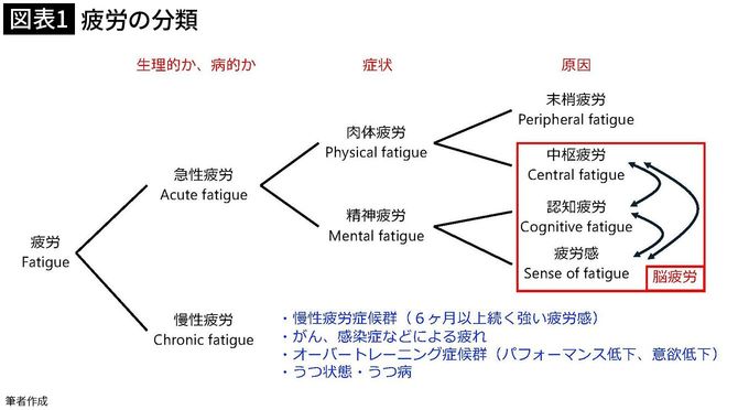 【図表1】疲労の分類