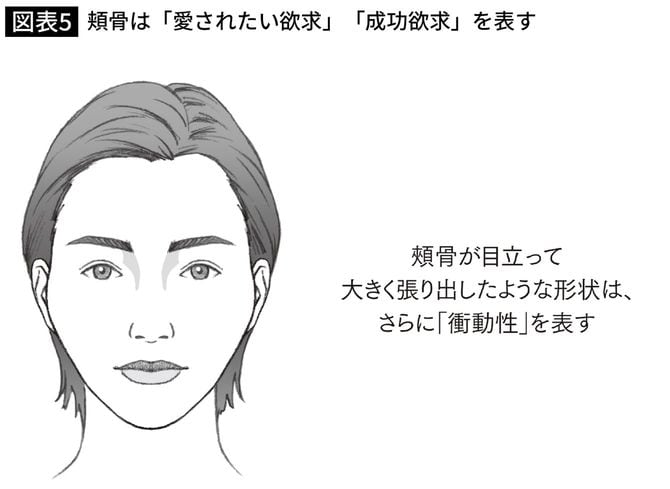 頬骨は「愛されたい欲求」「成功欲求」を表す
