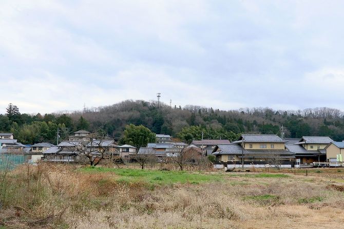 北麓から眺める明智城