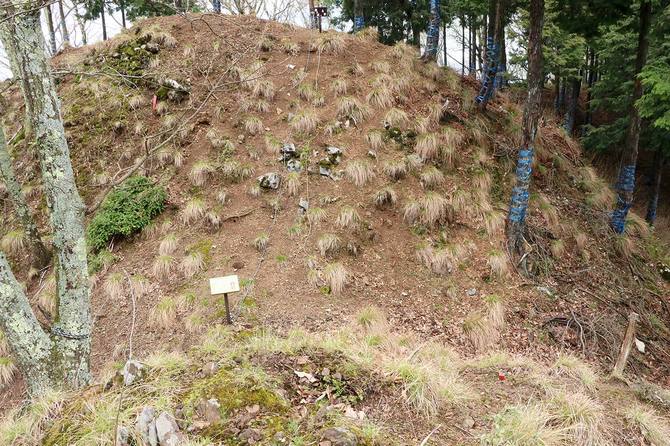 堀切の底から見上げた切岸。落差4～5mはある