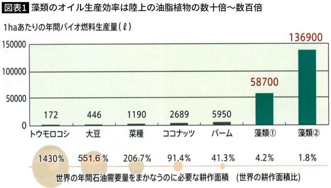 1haあたりの年間生産量は、トウモロコシの300～800倍。