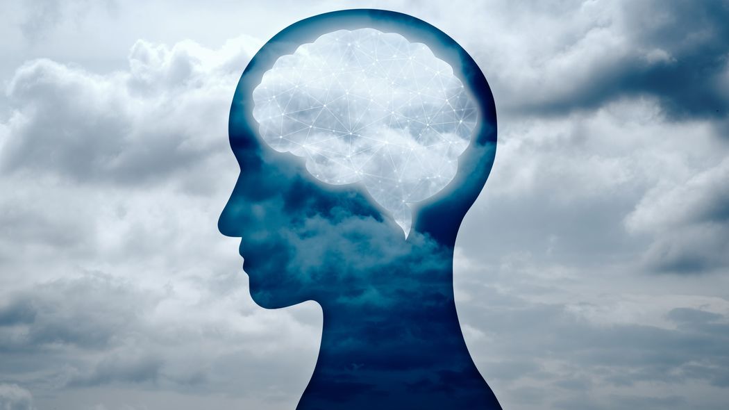 ｢脳科学はマスコミが作り出した幻｣一大"脳ブーム"を生み出したベストセラー本を精神医療の権威が完全論破 似非科学で儲けるマスコミと健康食品業界の闇