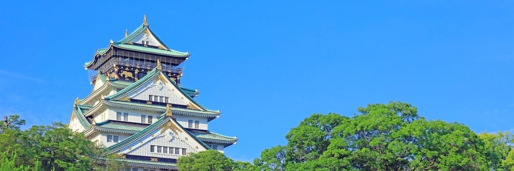 ｢豊臣兄弟はいわば『セミの兄弟』｡前半生は地中で…｣磯田道史が解説"天下人と最良の補佐役"が生まれた背景