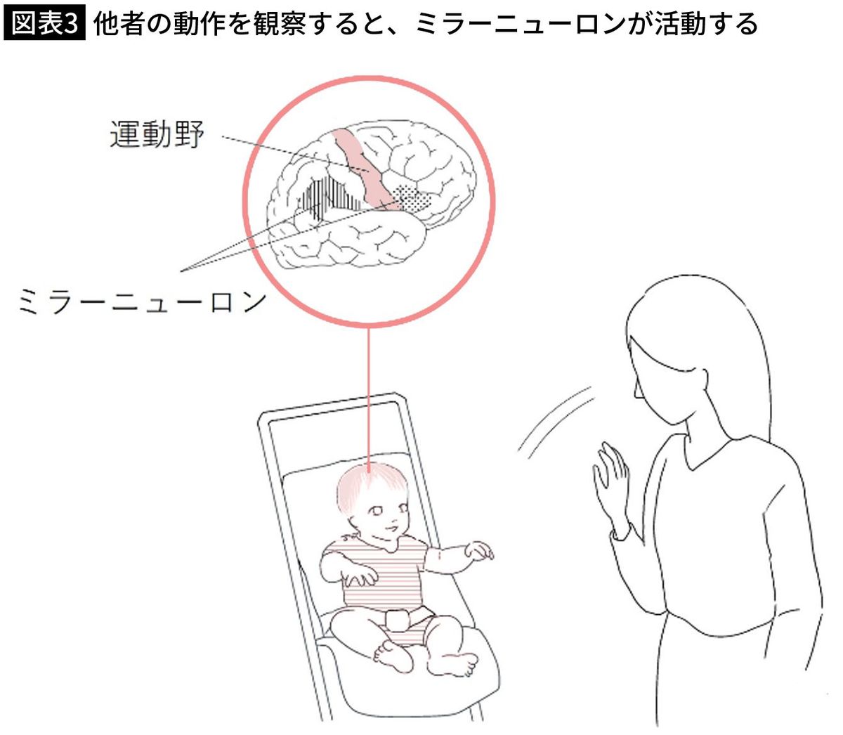 【図表3】他者の動作を観察すると、ミラーニューロンが活動する