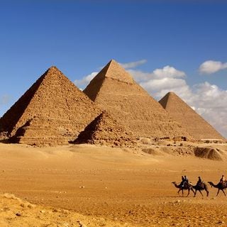 これがなければピラミッドは建たなかった 古代エジプトの大規模建築に必須だった ある工場 毎日5リットルが支給されていた 2ページ目 President Online プレジデントオンライン