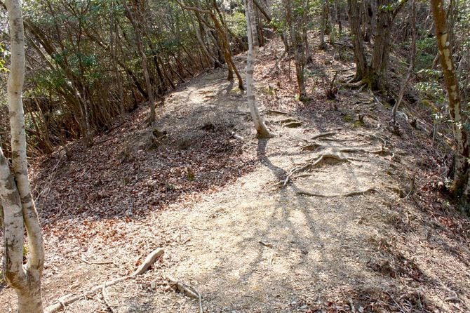 縄張図に明記がない堀切