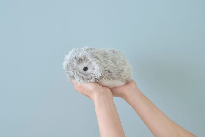 手のひらに収まるサイズのモフリン。