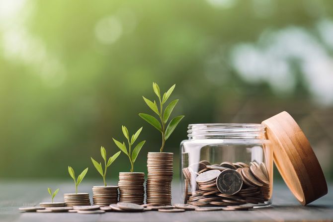 段々育っていく苗木と投資のイメージ