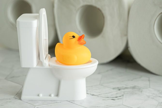 トイレの上に乗せられたアヒルの人形と背景にトイレットペーパー