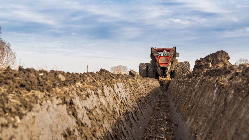 ｢子持ち女性vs子どもがいない女性の"溝"｣は近年､意図的に作られたものだった…産まなかった女性の役割とは 昔は産む･産まないにかかわらず子育てをしていたのに…