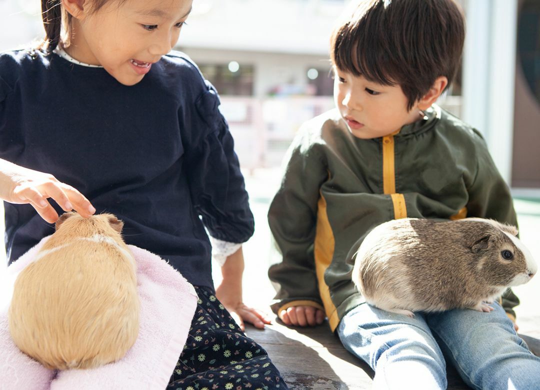 ほぼ0円で週末を楽しく過ごす4つの鉄則 住宅展示場の「動物展示」は狙い目