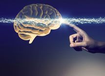 脳科学で分類"4タイプ別"性格診断テスト