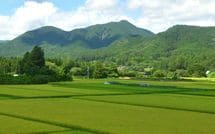 ｢農婦を強姦しようとした｣と国中で噂､左遷されたが…一時の性欲でキャリアを台無しにした大名の意外な結末