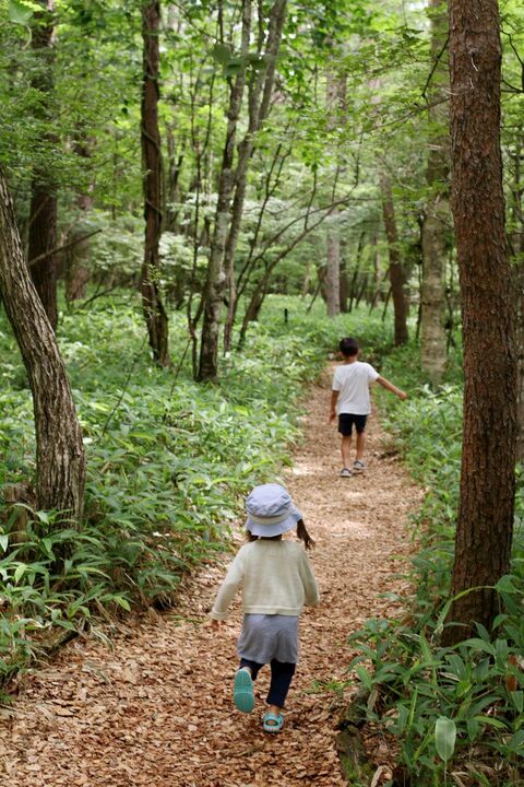 日本の兄と妹（7歳男の子と2歳女児）がハイキング
