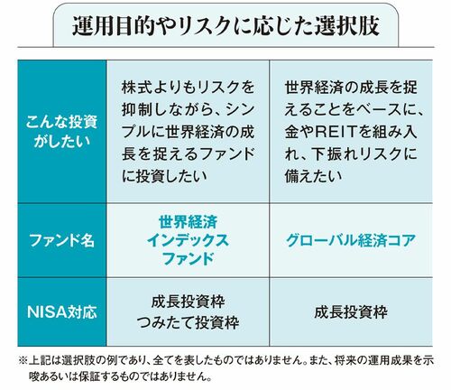 【図表5】運用目的やリスクに応じた選択肢