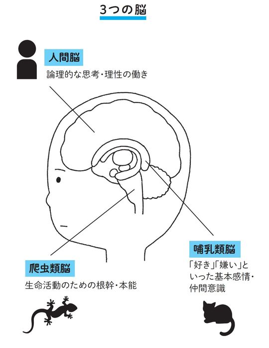 3つの脳