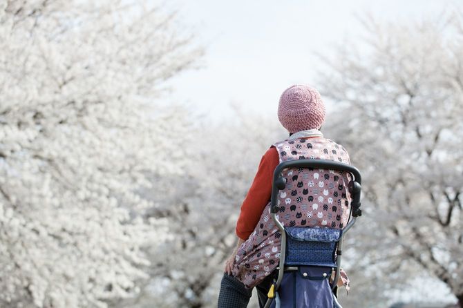 桜を見つめる老婆
