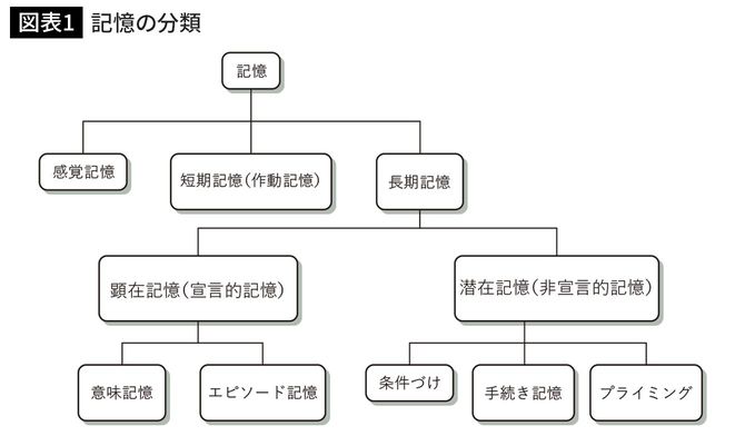 記憶の分類