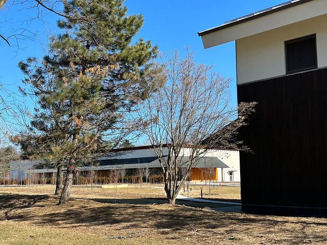 桜井博志さんは、今日もマスタングを駆ってNY蔵に通う