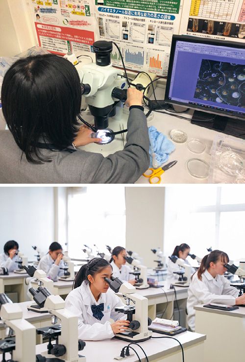 1人1台の顕微鏡