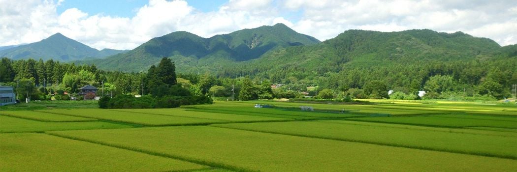 ｢農婦を強姦しようとした｣と国中で噂､左遷されたが…一時の性欲でキャリアを台無しにした大名の意外な結末