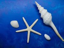 バランスチェック！ 「自信」を計る内罰＆外罰欲求