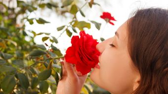 ｢慢性副鼻腔炎｣の治療が劇的に進歩したワケ
