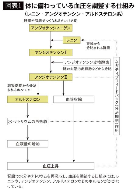 【図表1】体に備わっている血圧を調整する仕組み