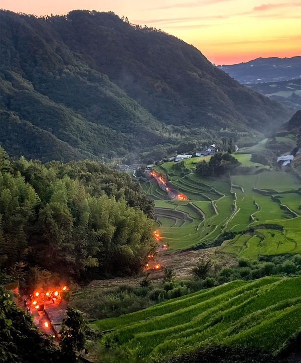 2025佳作「未来へつながれた『虫送り』」日野あすかさん
