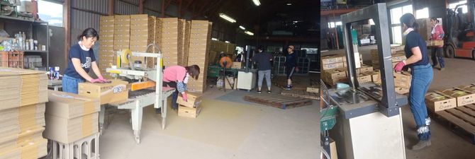 大根を段ボールに詰めていく作業は想像以上の力仕事だった。翌日は全身が筋肉痛に……。