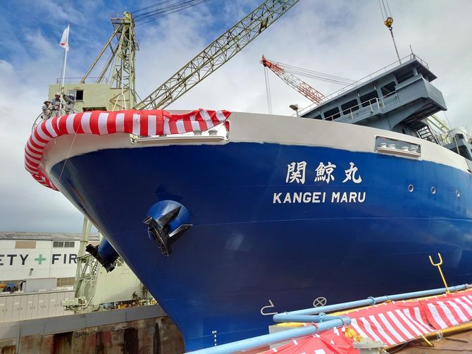 山口県や下関市が母船式捕鯨の母港化を目指す中、新しい捕鯨母船の進水式が開催された。共同船舶(東京)が所有する「関鯨丸」で、世界で唯一となる船団式の捕鯨船の母船。船内でクジラの解体から保存までを行える=2023年8月31日、山口県下関市の旭洋造船