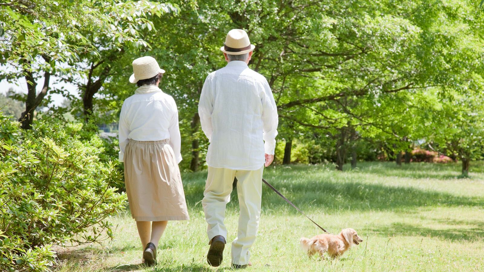 日本は｢平均寿命｣も｢健康寿命｣も世界一長い…では"不健康期間"ワーストランキングの順位は? 男性で8.9年間､女性で11.4年間で先進国の中で平均的