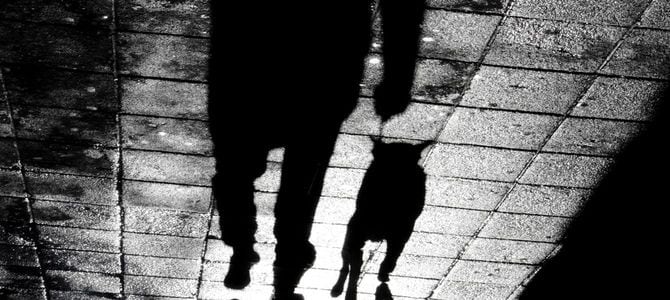 リードを付けたブルテリアと夜の散歩