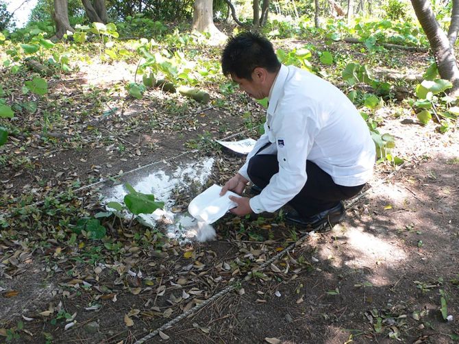 海士町のカズラ島での散骨の様子